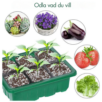 Indoor Seedling Greenhouse with LED Growth Light