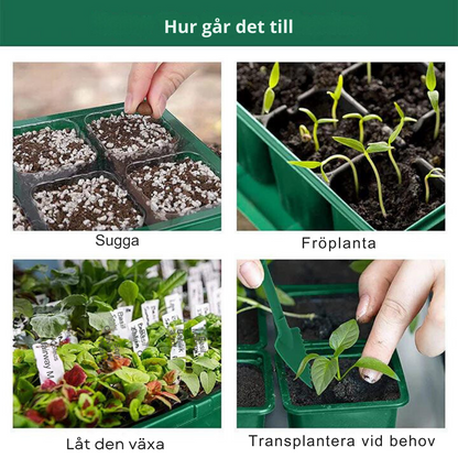 Indoor Seedling Greenhouse with LED Growth Light