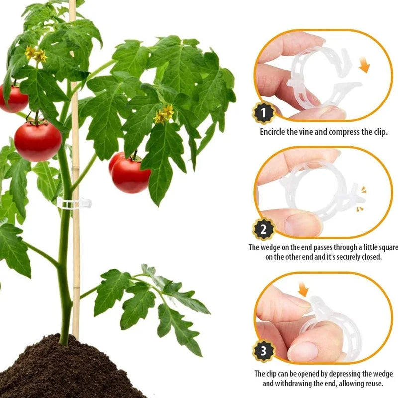 25 Free with Purchase | Plant Clips - Plastic Plant Holders
