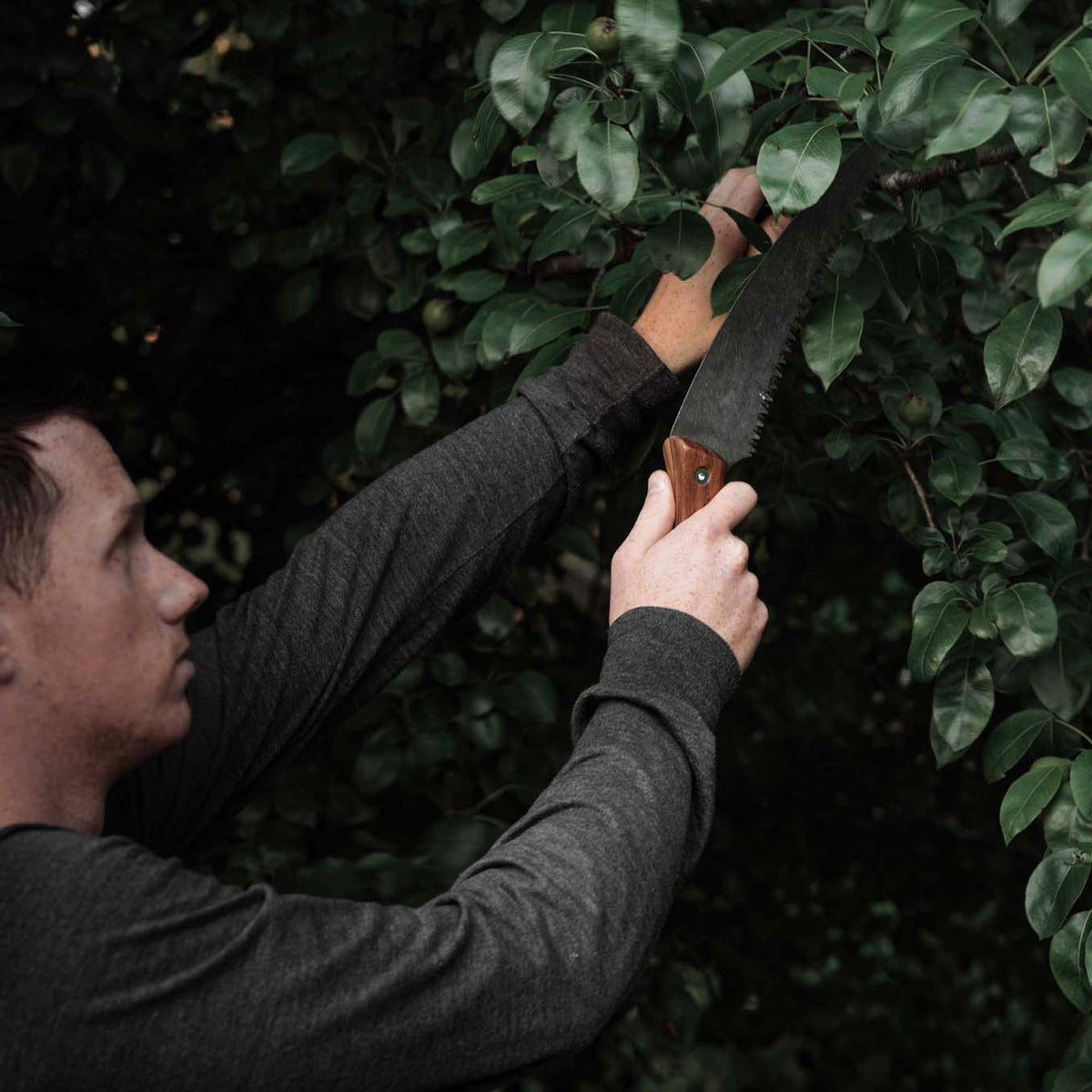Essential Pruning Toolkit for Garden Enthusiasts