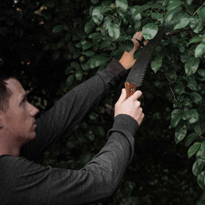 Essential Pruning Toolkit for Garden Enthusiasts