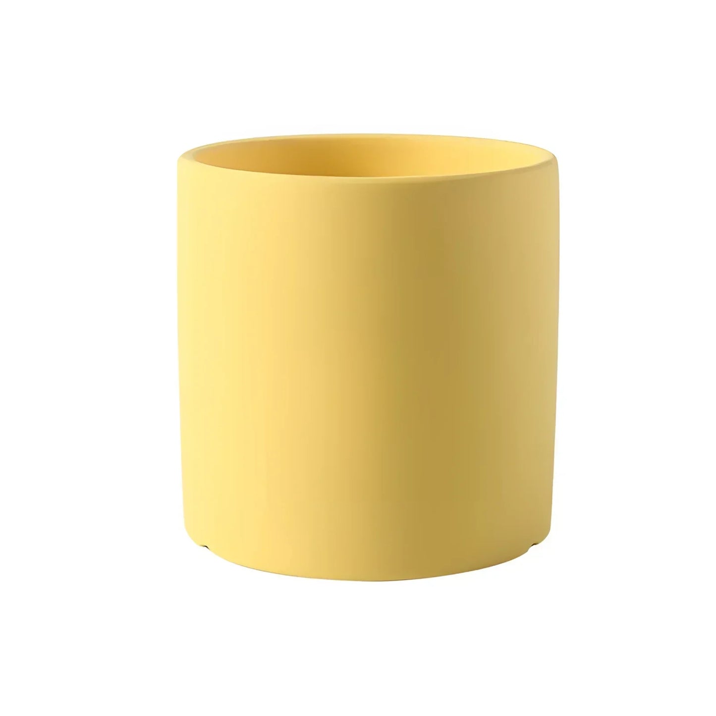 Vibrant Collection of Decorative Flower Pots