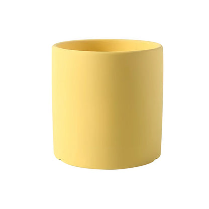 Vibrant Collection of Decorative Flower Pots