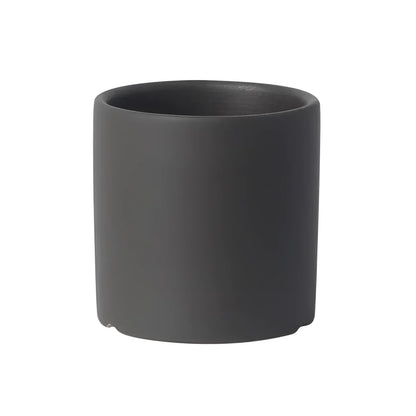 Vibrant Collection of Decorative Flower Pots