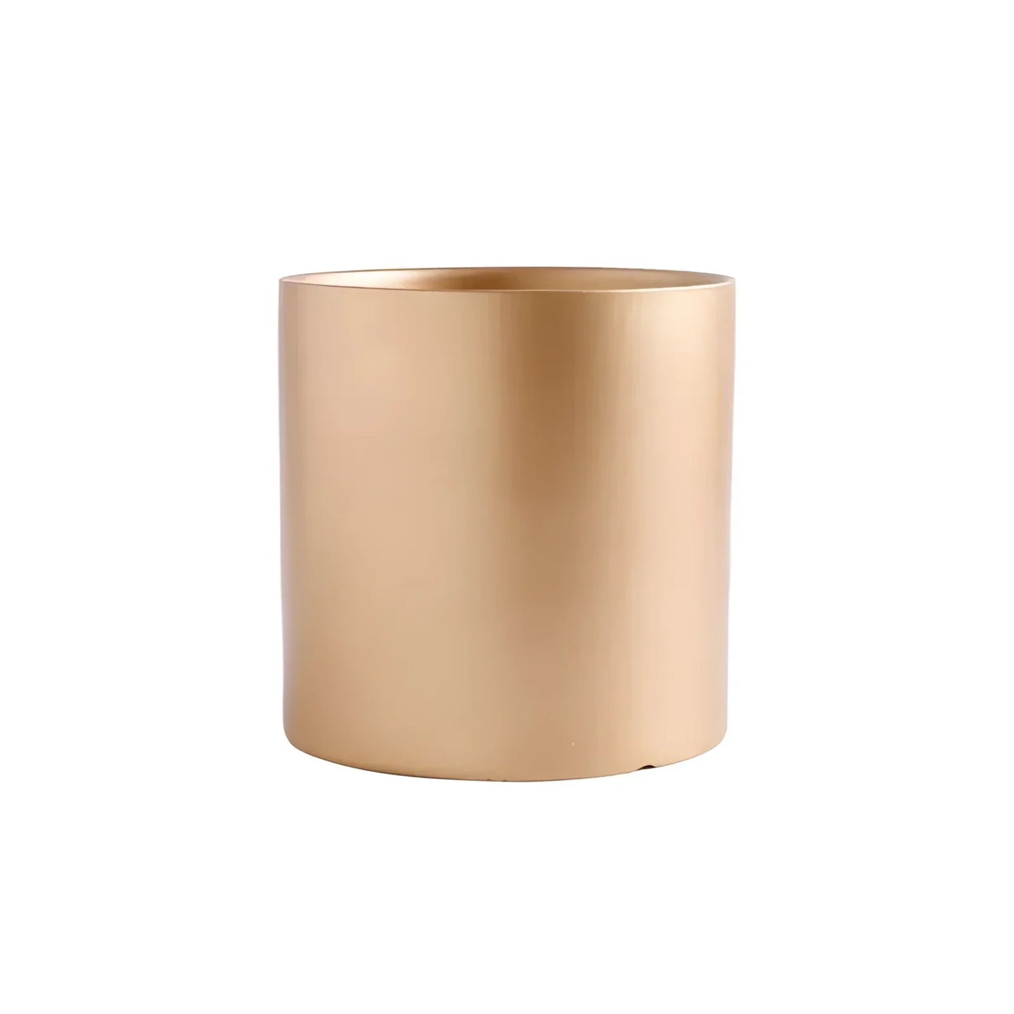Vibrant Collection of Decorative Flower Pots