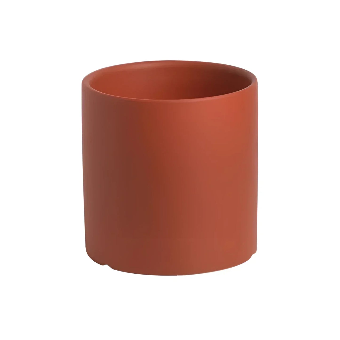Vibrant Collection of Decorative Flower Pots