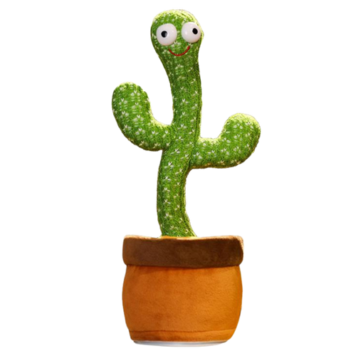 Talking Cactus Parrot