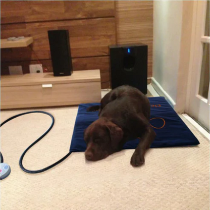 Cozy Electric Heating Pad for Pets