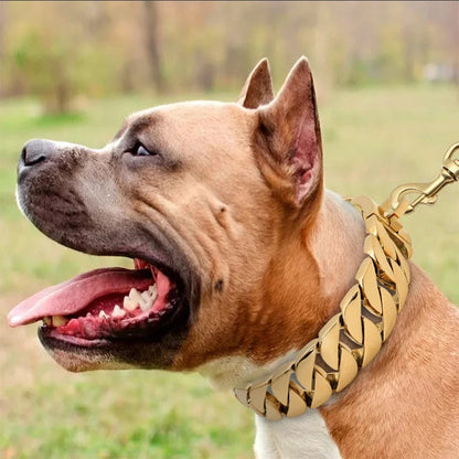 Metal Dog Collar for Large Breeds – Durable Stainless Steel Neckwear