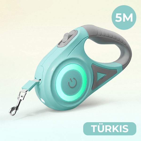 BrightLeash: Illuminated Dog Leash for Night Walks