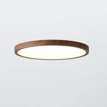 Dimmable Round Ceiling Light Fixture with 3 Modes – Slim Design