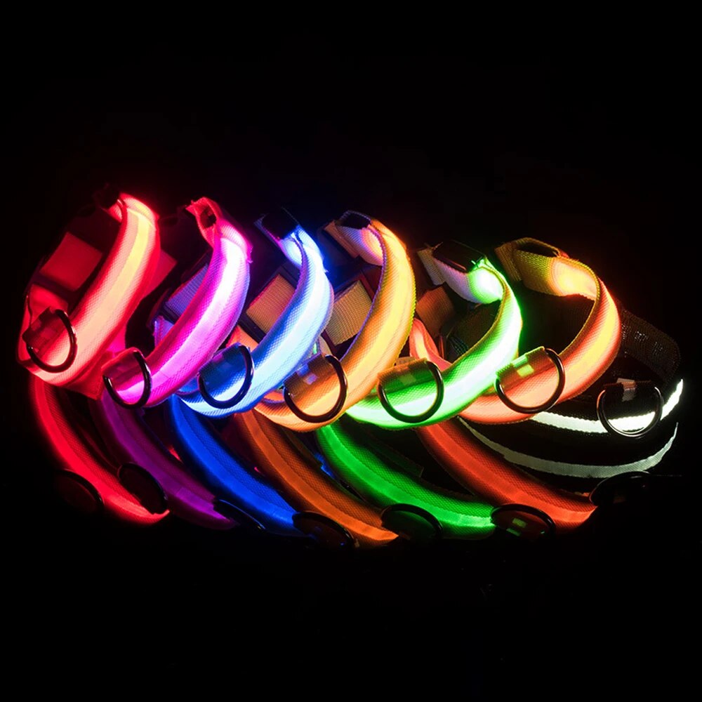 IlluminatePet Safety Collar for Nighttime Adventures
