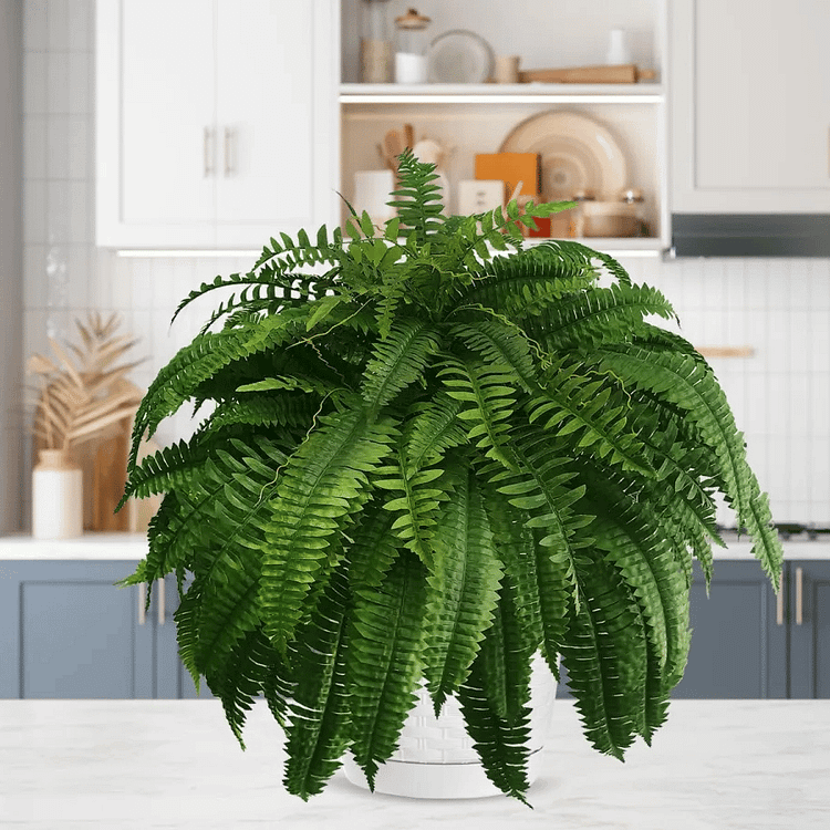 Artificial Boston Fern Plant with UV Protection – Weather-Resistant Design