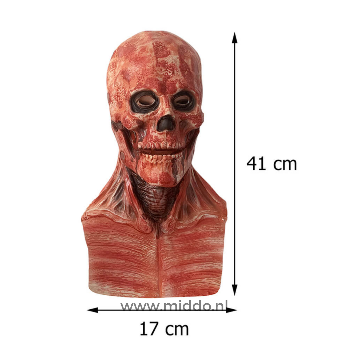 Realistic Skull Mask | Double Face Design
