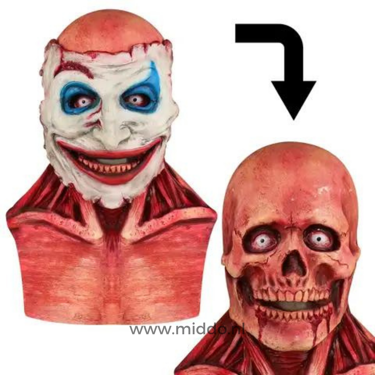 Realistic Skull Mask | Double Face Design