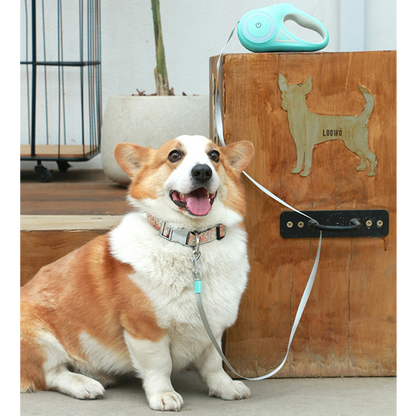 BrightLeash: Illuminated Dog Leash for Night Walks