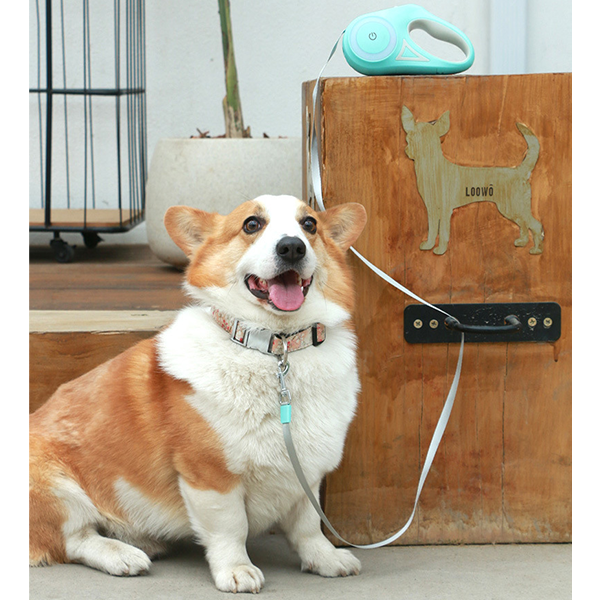 BrightLeash: Illuminated Dog Leash for Night Walks