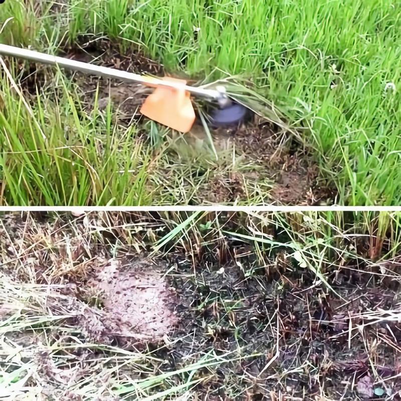 Precision Edge Trimmer Head | Gentle Grass Cutting | Damage Protection