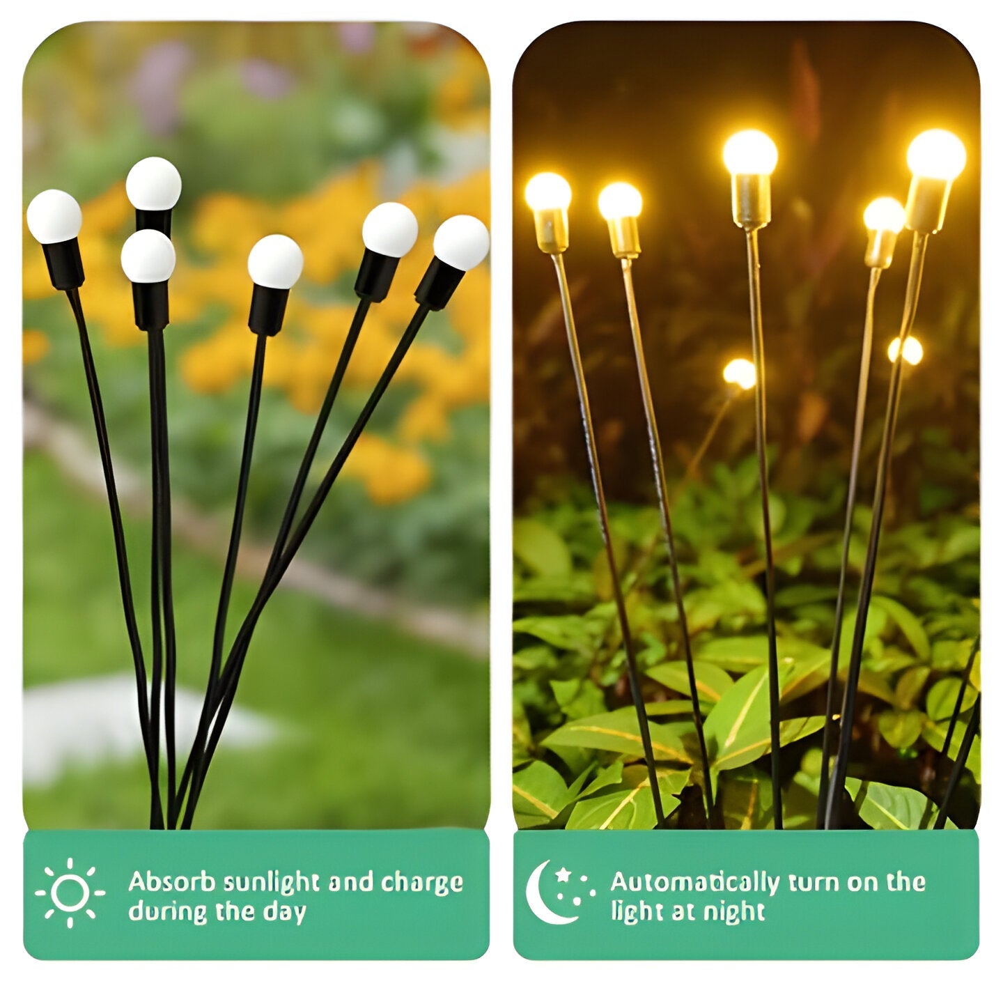 Outdoor Solar Garden Lights for Pathway and Landscape Illumination