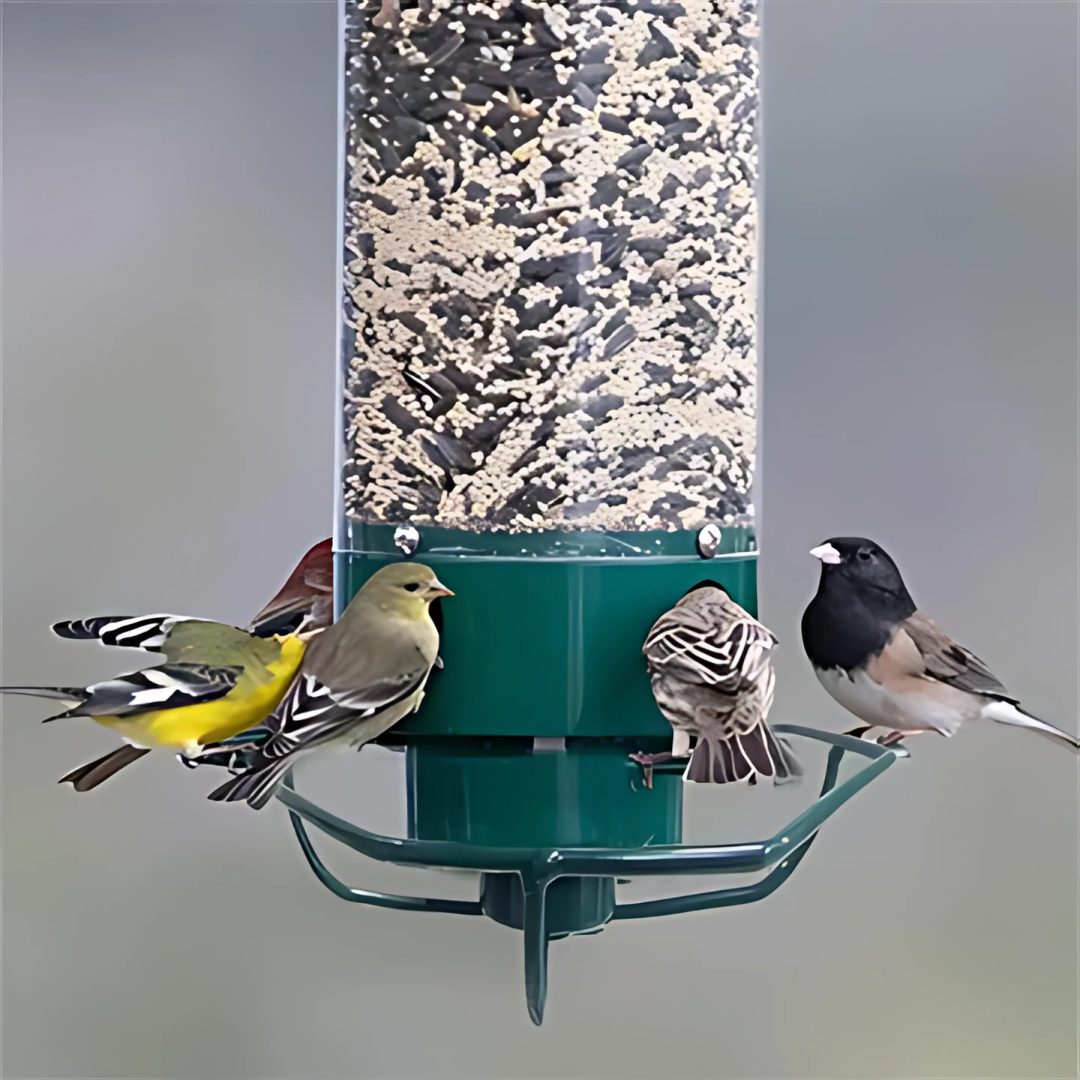 Rotatable Squirrel-Resistant Bird Feeder for Gardens with Multiple Ports