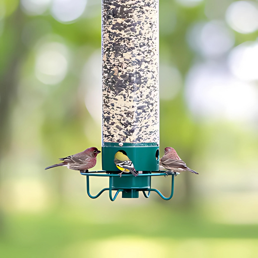 Rotatable Squirrel-Resistant Bird Feeder for Gardens with Multiple Ports