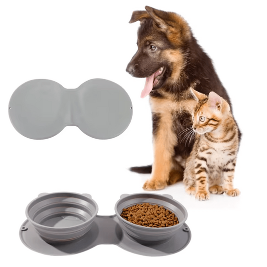 Compact Dual Food and Water Bowl for Pets on the Move