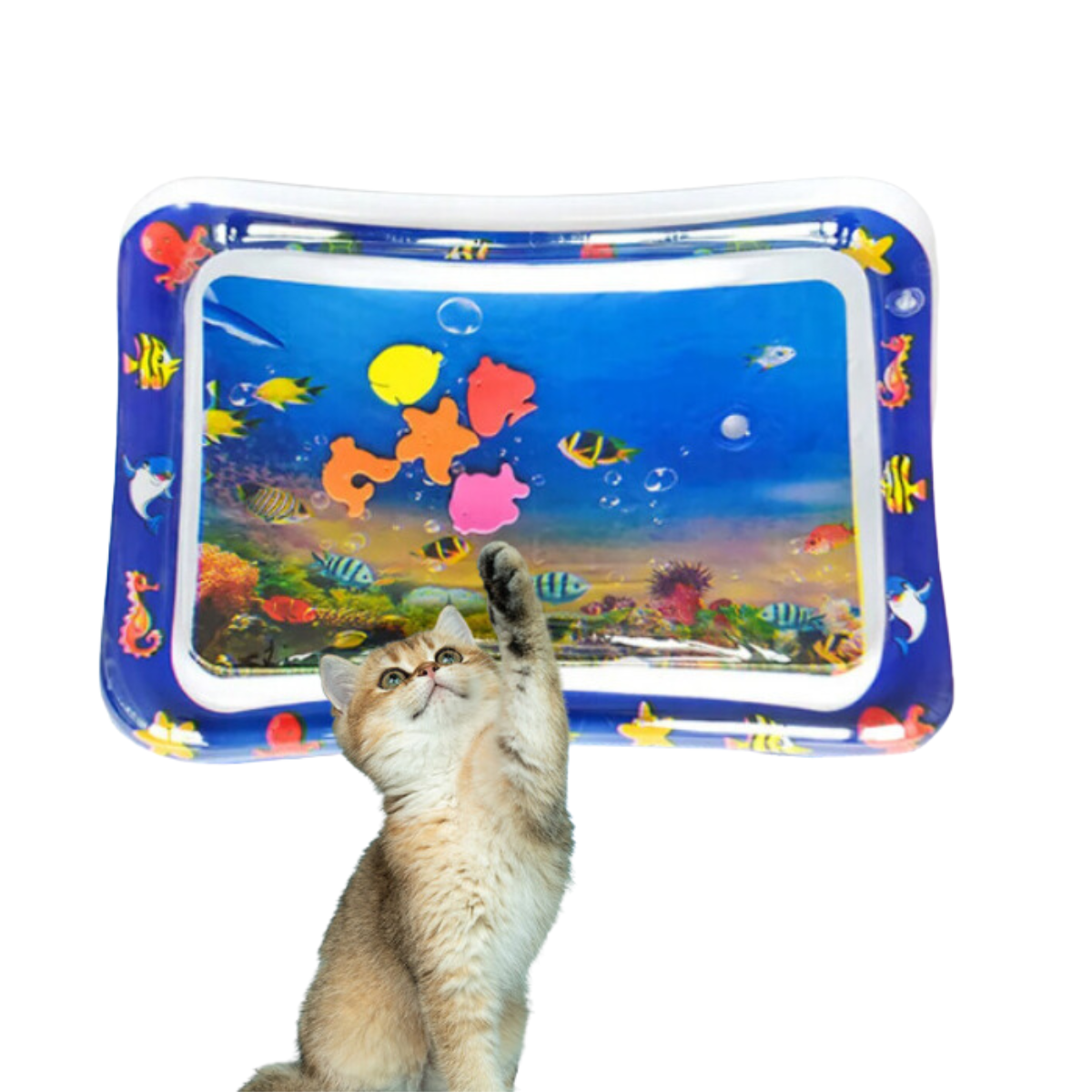PurrSplash Play Mat | Fun Water Activity for Cats