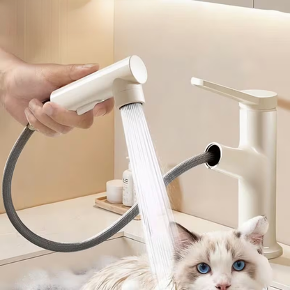 Hot and Cold Sink Faucet with Pull-Out Spray