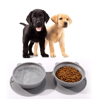 Compact Dual Food and Water Bowl for Pets on the Move