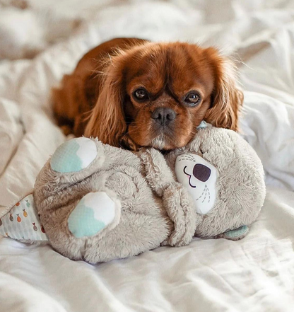 Comforting Cuddle Companion for Pets
