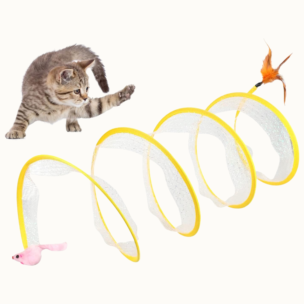 Whirlwind Cat Play Spinner