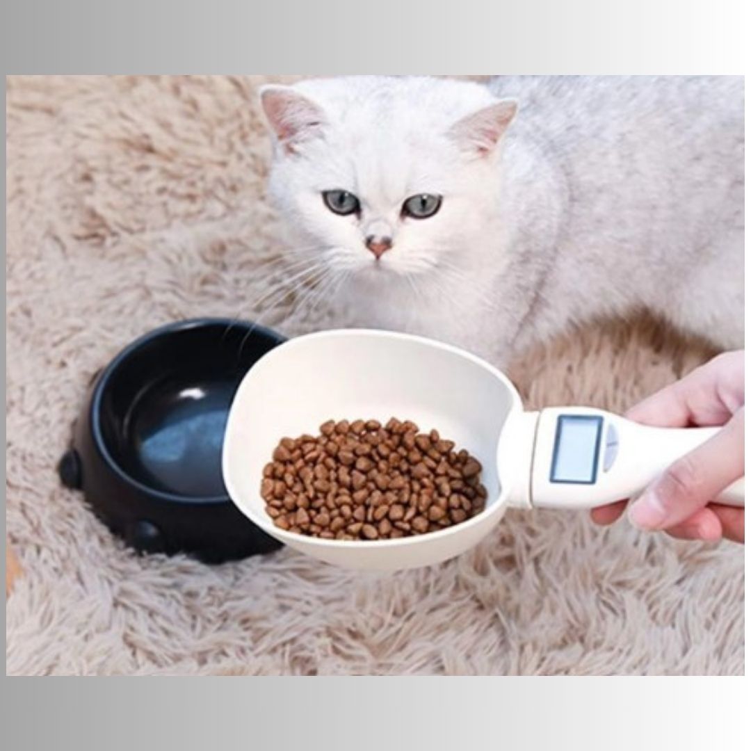 Digital Food Measuring Spoon Scale