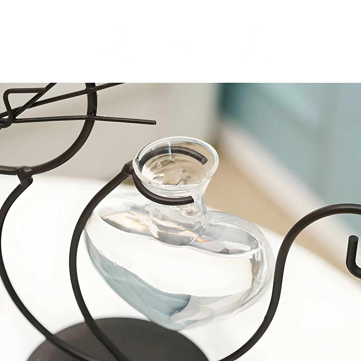 Hydroponic Heart-Shaped Glass Vase with Cat Holder