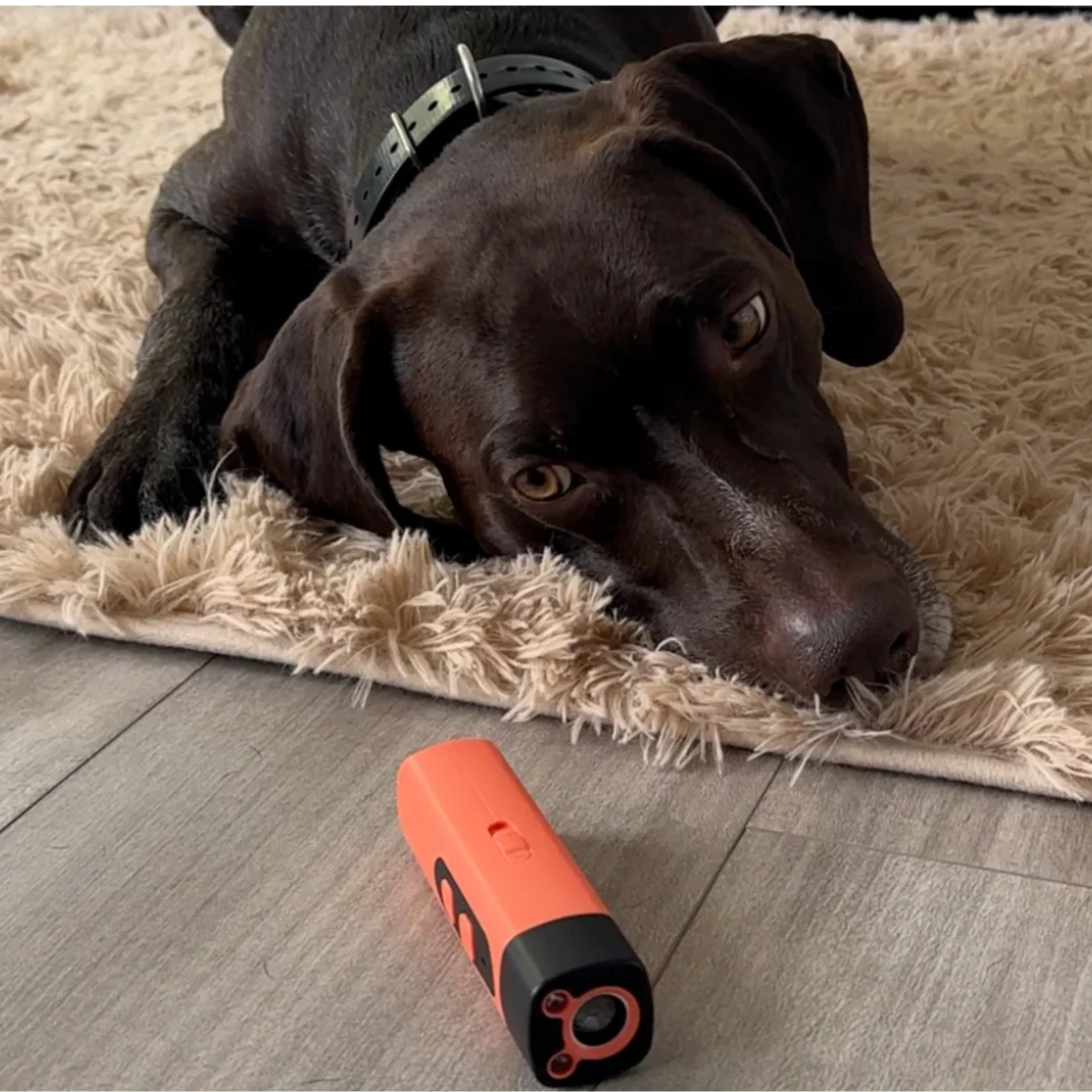 Ultrasonic Anti-Bark Device for Dogs – Bark Control Solution