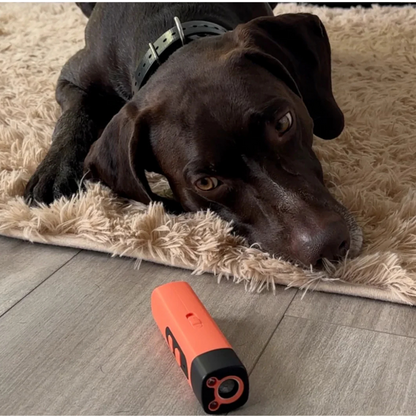 Ultrasonic Anti-Bark Device for Dogs – Bark Control Solution