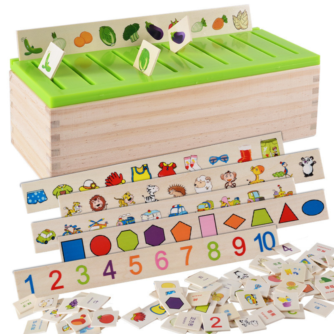 Wooden Sorting Box for Learning - Montessori Style
