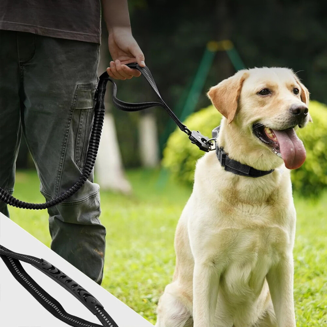 Premium Elastic Dog Leash for Large Breeds