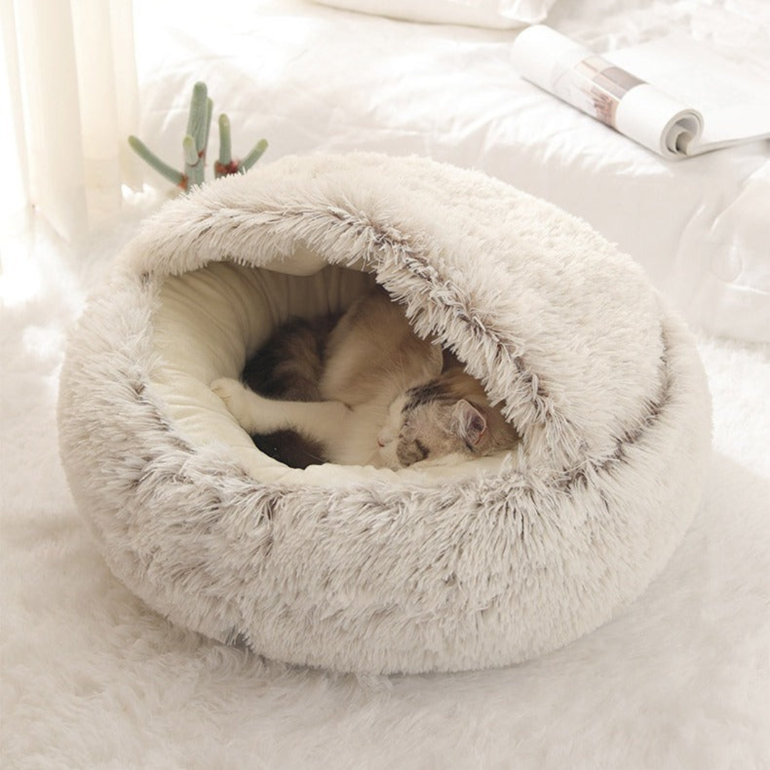 Dual-Function Cat Sanctuary Bed