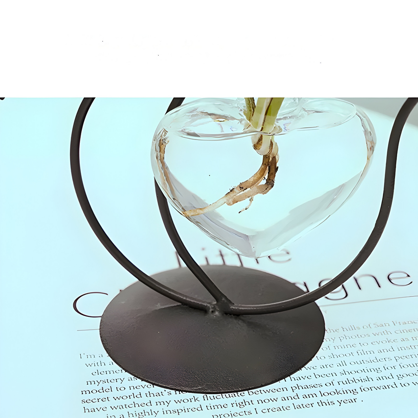 Hydroponic Heart-Shaped Glass Vase with Cat Holder