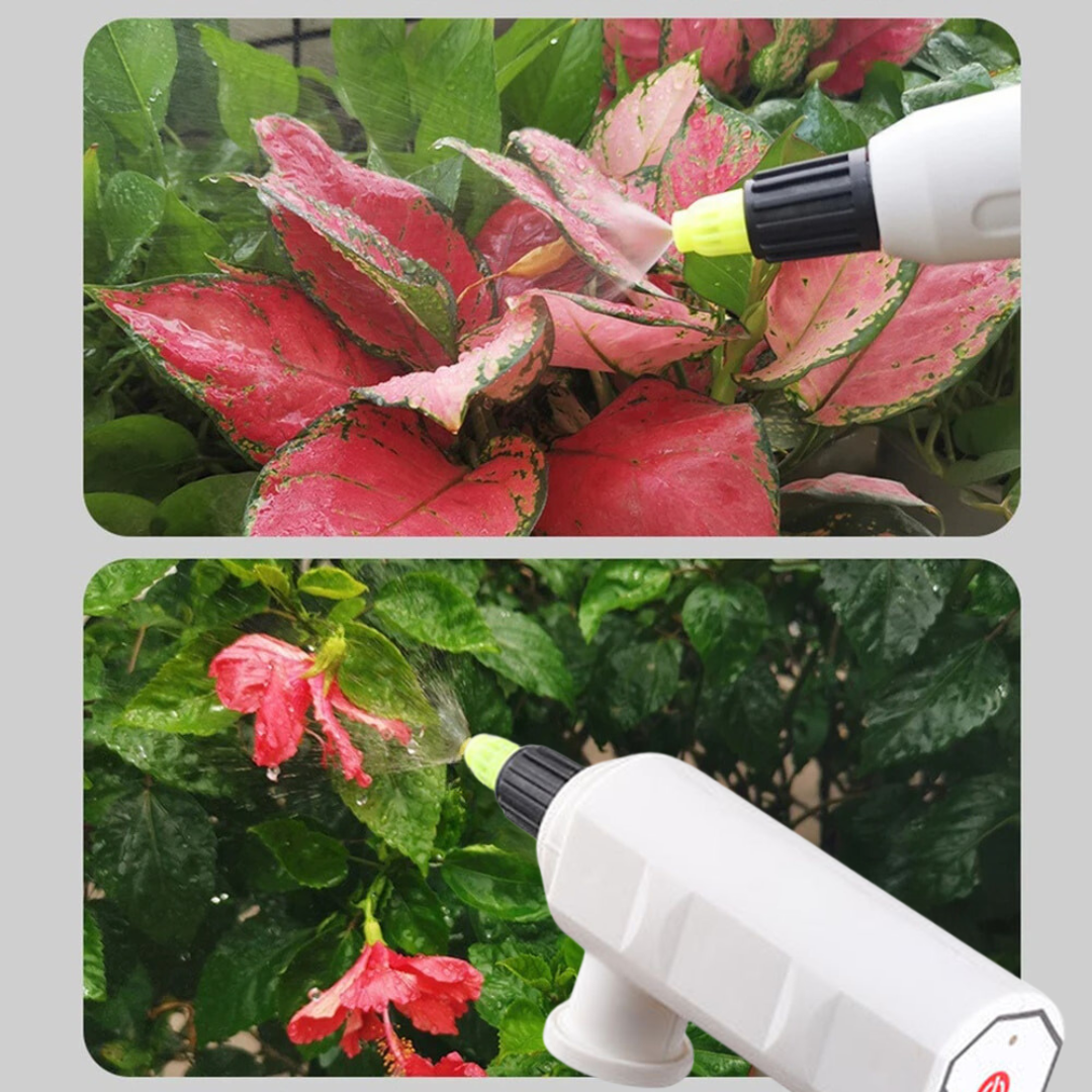 AquaSpray - The Easy Solution for Effortless Watering!