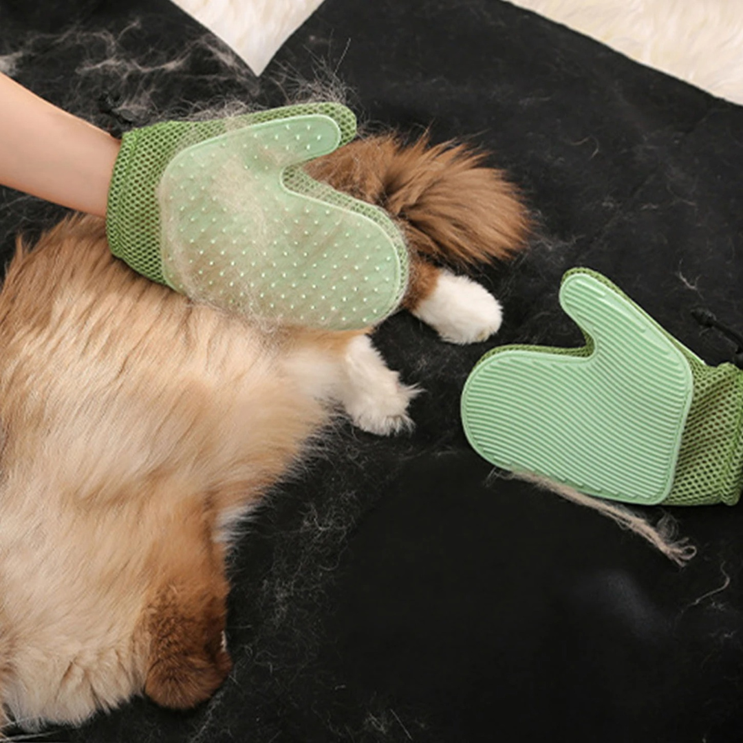Dual-Action Cat Grooming Glove for Effortless Care