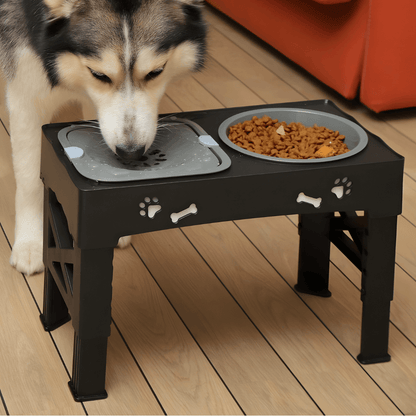 All-in-One Pet Bowl Stand for Healthier Meals