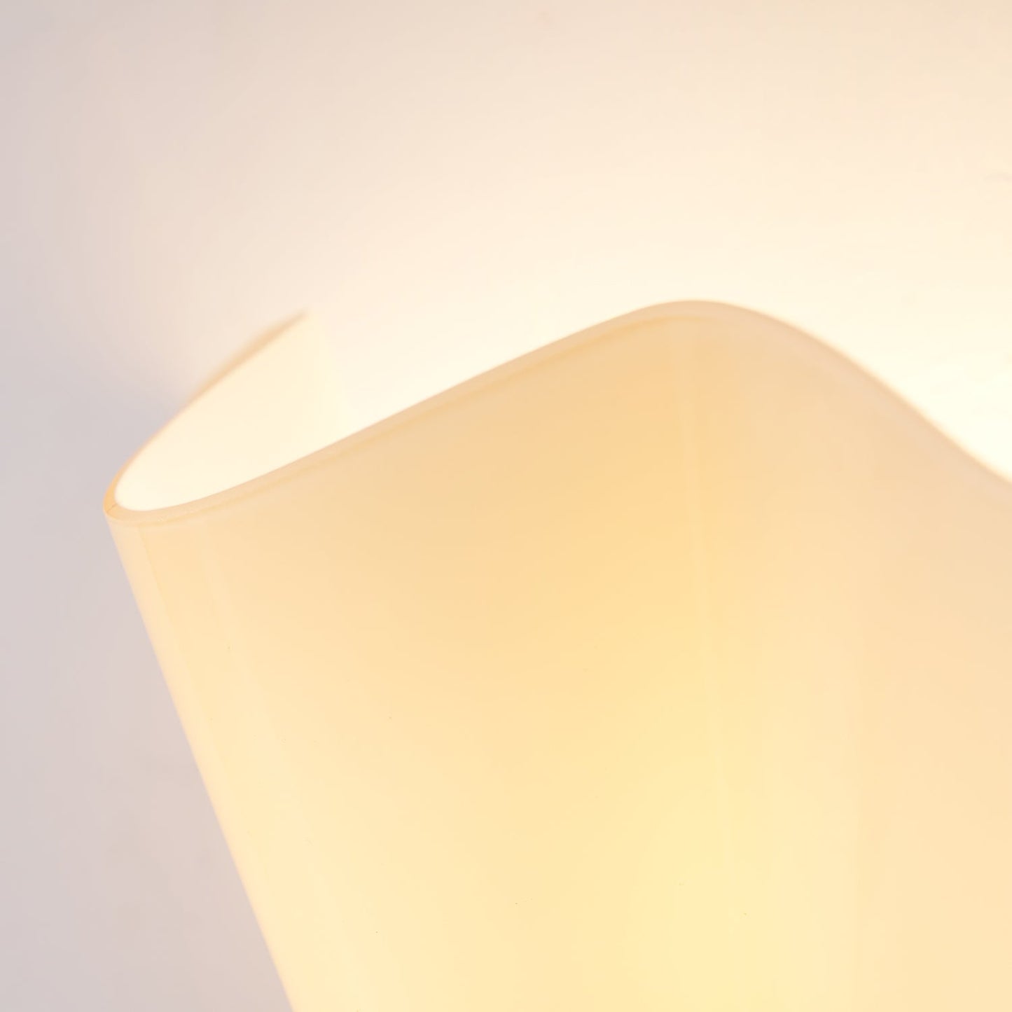 Elegant Home Wall Lights with Petal Design