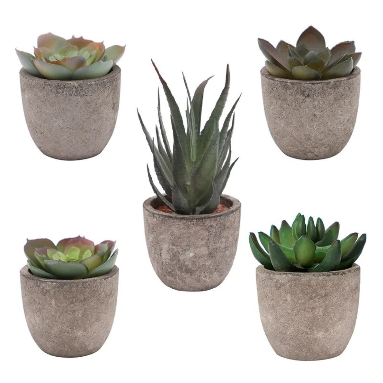 Evergreen Faux Succulent for Timeless Decor