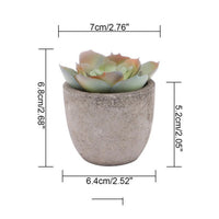 Pale Rosette