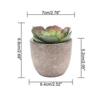 Blush Rosette