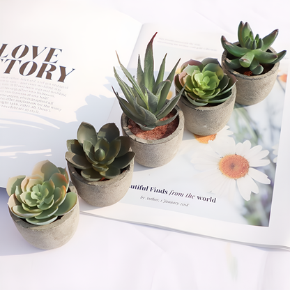 Evergreen Faux Succulent for Timeless Decor