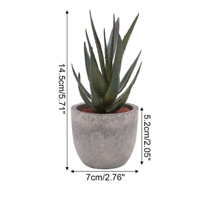 Evergreen Faux Succulent for Timeless Decor