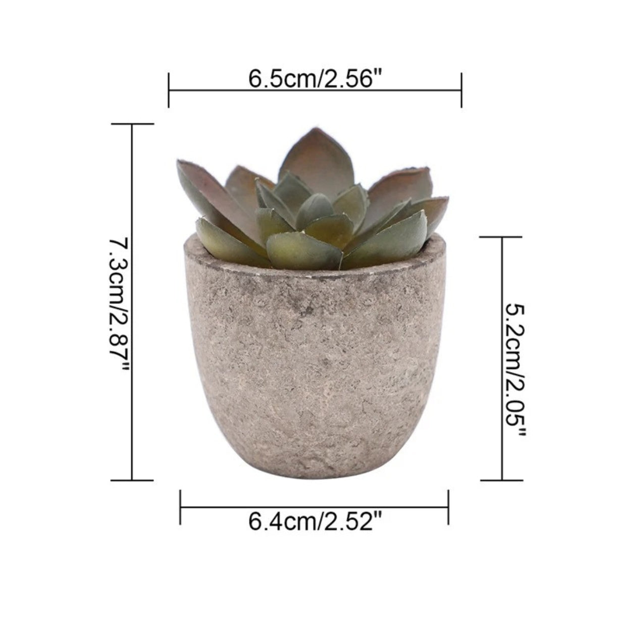 Evergreen Faux Succulent for Timeless Decor