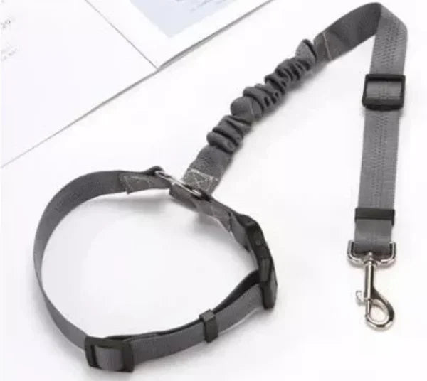 Adjustable Dog Leash for Cars